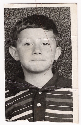 At the Biological Level